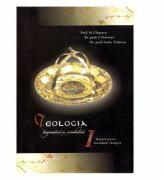 Teologia dogmatica si simbolica. Manual pentru facultatile teologice Volumul 1 - N. Chitescu, Isidor Todoran, I. Petreuta (ISBN: 9789731714349)
