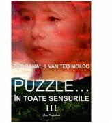 Puzzle. . . in toate sensurile Vol. 3 - Teo Banal, Van Teo Moldo (ISBN: 9786067303254)