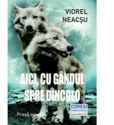 Aici, cu gandul spre dincolo - Viorel Neacsu (ISBN: 9786069965290)