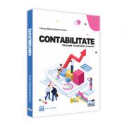 Contabilitate. Viziune ilustrata creativ - Viorica-Mirela Stefan-Duicu (ISBN: 9786062612047)