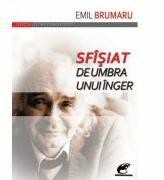 Sfîsiat de umbra unui inger - Emil Brumaru (ISBN: 9786068260303)