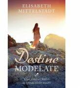 Destine modelate. Cinci femei ale Bibliei in oglinda zilelor noastre - Elisabeth Mittelstädt (ISBN: 9786068712178)