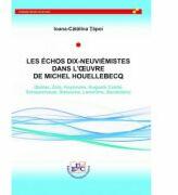 Les echos dix-neuviemistes dans l'oeuvre de Michel Houllebecq - Ioana-Catalina Tapoi (ISBN: 9786061415939)