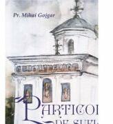 Particole de suflet - Pr. Mihai Gojgar (ISBN: 9786062811839)