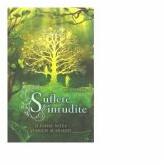 Suflete inrudite. O iubire intre vesnicie si moarte - Nica Stevens (ISBN: 9786065769298)