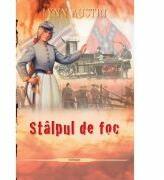 Stalpul de foc. Seria Focul topitorului, volumul 2 - Lynn Austin (ISBN: 9789738998421)