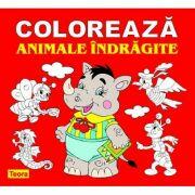 Coloreaza animale indragite - Diana Rotaru (ISBN: 9789732013007)