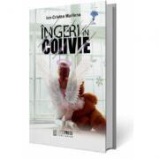 Ingeri in colivie - Ion-Cristea Marilena (ISBN: 9786069508770)