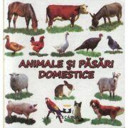 Animale si pasari domestice (editie cartonata) - Toma Costinel Daniel (ISBN: 9786069287521)
