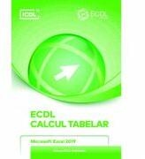 ECDL. Calcul Tabelar. Microsoft Excel 2019 - Ionut Danaila (ISBN: 9786069037096)