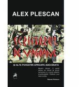 Scriitorul de vagoane - Alex Plescan (ISBN: 9786066642842)