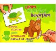 Lipim, coloram, invatam. Animale salbatice (ISBN: 9789737145802)