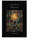 Denecuprinsul - Dan Damaschin (ISBN: 9789731331416)