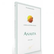 Cedrii sunatori ai Rusiei. Cartea 10. Anasta - Vladimir Megre (ISBN: 9786069281642)