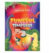Tunelul timpului - Gabriela Teca (ISBN: 9786060294108)