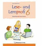 Lese- und Lernprofi 6 Schulerarbeitsheft silbierte Ausgabe Leseheft - Christa Koppensteiner (ISBN: 9783197995977)