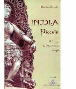 India picanta - Pelerinaj la Mirodenii si Temple - Adelina Patrichi (ISBN: 9789738518179)