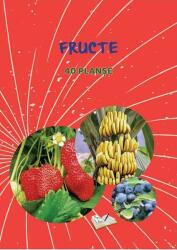 Mapă - Fructe (ISBN: 9786063614088)
