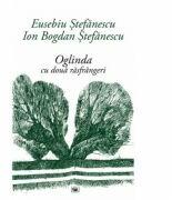 Oglinda cu doua rasfrangeri - Eusebiu Stefanescu, Ion Bogdan Stefanescu (ISBN: 9789733212348)
