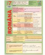 Plansa Limba romana clasa 7 (ISBN: 9786065908079)