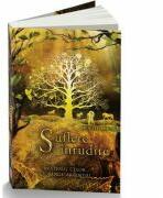 Misterul celor cu sange argintiu. Suflete inrudite - Nica Stevens (ISBN: 9786065769830)