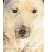 Fiul taramului inzapezit - Jackie Morris (ISBN: 9786069071380)