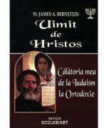 Uimit de Hristos - James A. Bernstein (ISBN: 9786069239773)