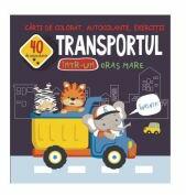 Transportul intr-un oras mare. 40 de autocolante - Gheorghe Ghetu (ISBN: 9789975148825)