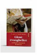 Glose evanghelice. Meditatii la duminicile de peste an - Theodor Damian (ISBN: 9786069746578)