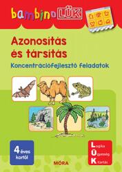 Azonosítás és társítás (2022)