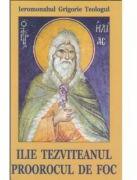 Ilie Tezviteanul, proorocul de foc - Sf. Grigorie de Nazianz (ISBN: 9789731400723)