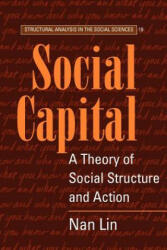 Social Capital - Nan Lin (2008)