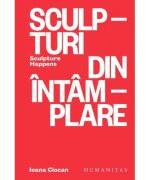 Sculpturi din intamplare. Sculpture Happens - Ioana Ciocan (ISBN: 9789735074562)