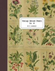 Vintage Botany Prints: Vol. 10 - E. Lawrence (ISBN: 9781722499853)