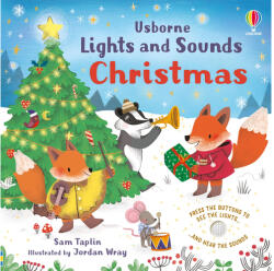 Lights and Sounds Christmas - Sam Taplin (ISBN: 9781801318167)