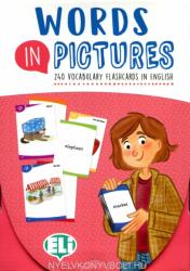 Words in Pictures - 240 Vocabulary Flashcards in English (ISBN: 9788853633514)