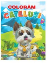 Coloram catelusi (ISBN: 9786066028776)