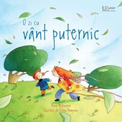 O zi cu vant puternic (Usborne) - Usborne Books (ISBN: 9786060961185)