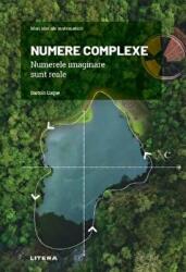 Volumul 24. Mari idei ale matematicii. Numere complexe. Numerele imaginare sunt reale - Bartolo Luque (ISBN: 9786063382871)