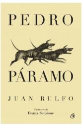 Pedro Páramo (ISBN: 9786064411884)