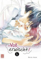 Voll erwischt! - Band 6 - Azusa Mase, Claudia Peter (ISBN: 9782889512058)