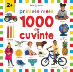 Primele mele 100 de cuvinte (ISBN: 9786060951339)