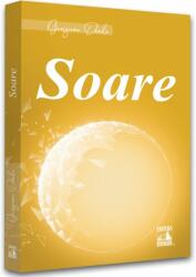 Soare - Georgiana Danila (ISBN: 9786069602522)