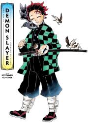 The Art of Demon Slayer: Kimetsu no Yaiba (ISBN: 9781974734108)