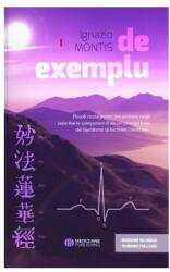De exemplu. Mici procedee pentru a facilita, in cadrul intalnirilor Buddhiste, explicatiile unor principii de baza ale Buddhismului lui Nichiren Daishonin - Ignazio Montis (ISBN: 9786069667064)