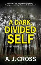 A Dark Divided Self (ISBN: 9781448307296)