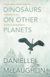 Dinosaurs on Other Planets - Danielle McLaughlin (ISBN: 9781473613720)