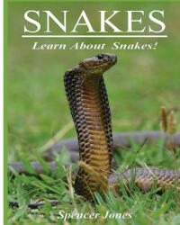 Snakes: Fun Facts & Amazing Pictures - Learn About Snakes - Spencer Jones (ISBN: 9781979655613)