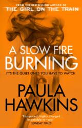 A Slow Fire Burning (ISBN: 9781529176759)