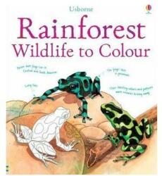 Rainforest Wildlife to Colour (2013)